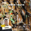 生态六味蒸鹅(方野厨房) | 绿家自产 *Ecological Six-Flavor Steamed Goose | Self-production 商品缩略图0