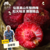 有机仙居东魁杨梅（25号左右开始排单发货） | 合作生产*Eco-waxberry | Coproduction 商品缩略图0