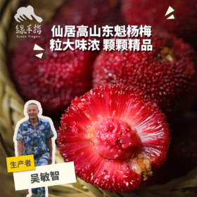 有机仙居东魁杨梅（25号左右开始排单发货） | 合作生产*Eco-waxberry | Coproduction