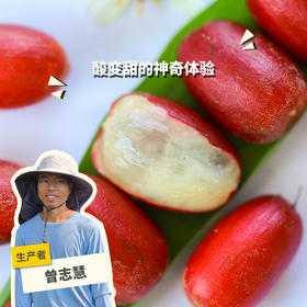生态神秘果 | 绿家自产 *Eco-Miracle Fruit | In-House Production