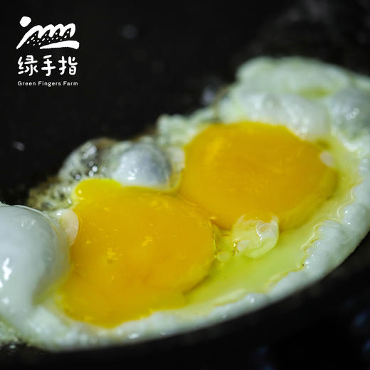 生态双黄蛋| 绿家自产* Eco- double-yolk eggs | Self-production 商品图4