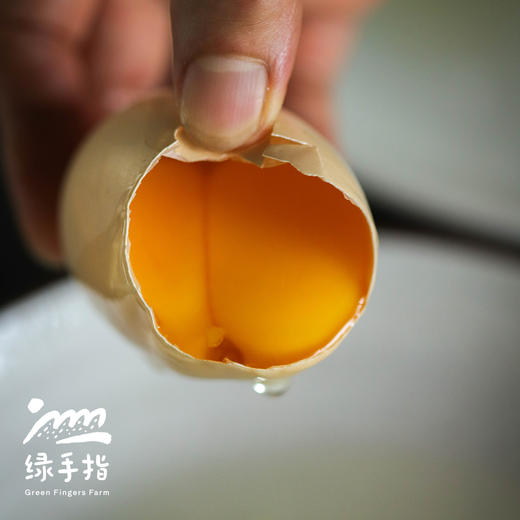 生态双黄蛋| 绿家自产* Eco- double-yolk eggs | Self-production 商品图0