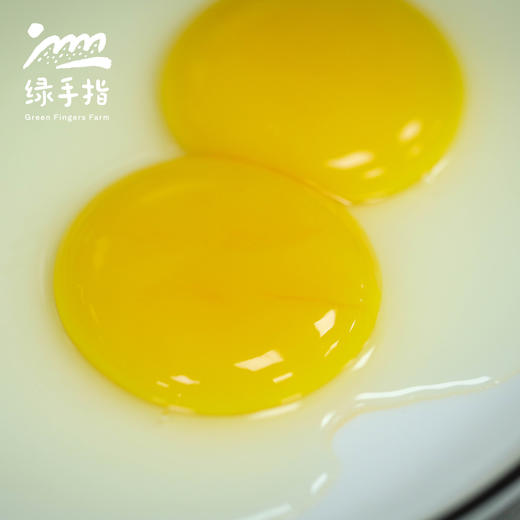 生态双黄蛋| 绿家自产* Eco- double-yolk eggs | Self-production 商品图2