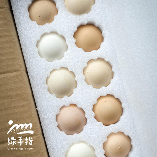 生态双黄蛋| 绿家自产* Eco- double-yolk eggs | Self-production 商品图3