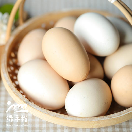 生态双黄蛋| 绿家自产* Eco- double-yolk eggs | Self-production 商品图1