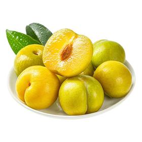 新鲜水果 果香四溢 蜂糖李 500g