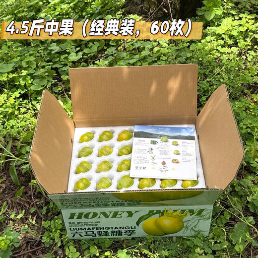 贵州六马蜂糖李60枚 商品图0