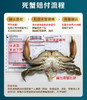 【正宗三门青蟹】 原产地直发  商品缩略图13