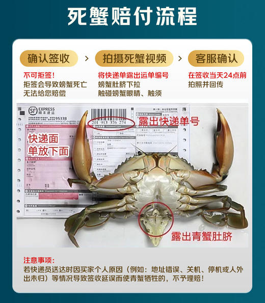【正宗三门青蟹】 原产地直发  商品图13