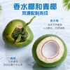 金盘100%椰子水  15瓶*450ml 商品缩略图3