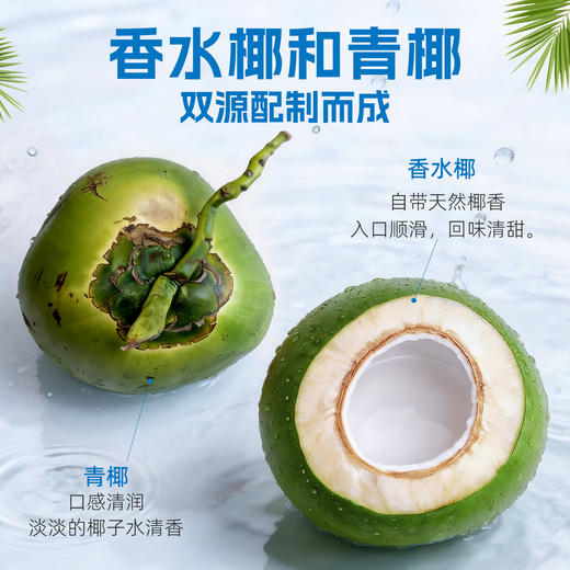 金盘100%椰子水  15瓶*450ml 商品图3