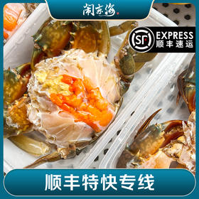 【正宗三门青蟹】 原产地直发 
