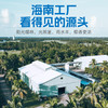 金盘100%椰子水  15瓶*450ml 商品缩略图2