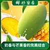 椰奶蜜香————攀枝花椰香芒 商品缩略图0