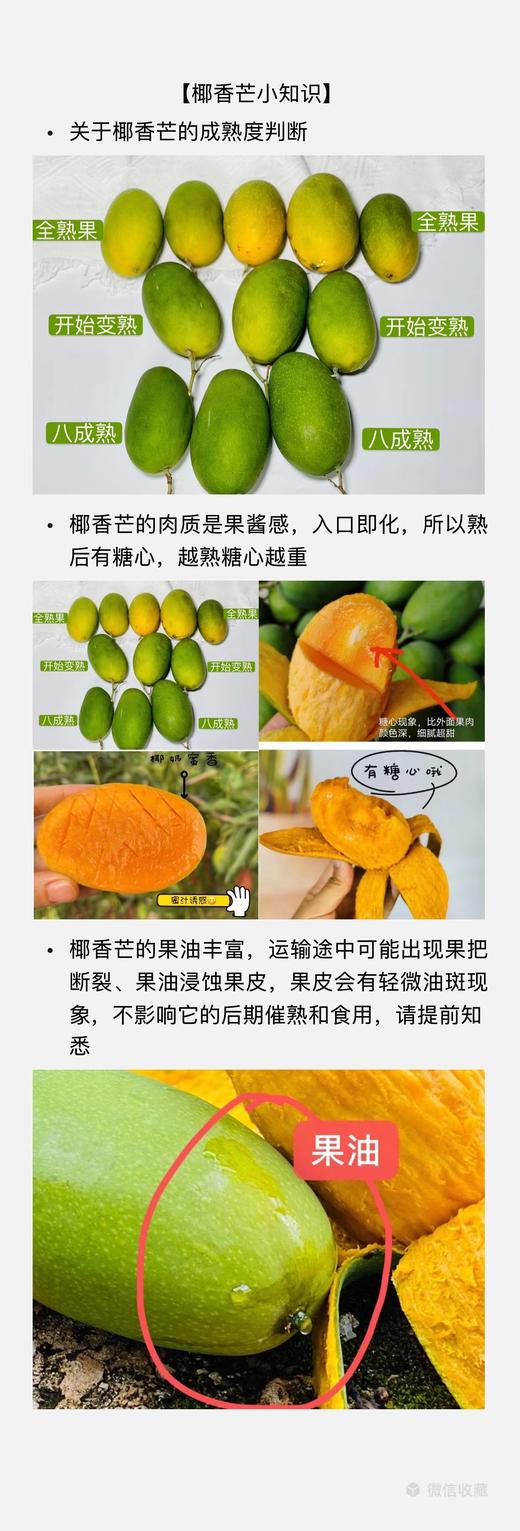 椰奶蜜香————攀枝花椰香芒 商品图11