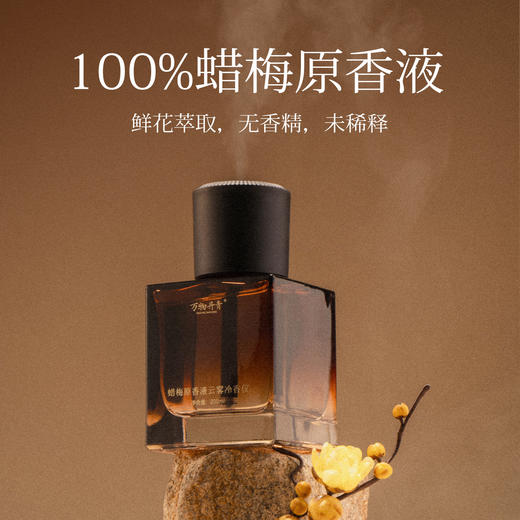 蜡梅原香液云雾冷香仪 素心腊梅香气 抄经稳定情绪焦虑压力 上班学生家居布置 万物丹青香气淡雅香薰 商品图3