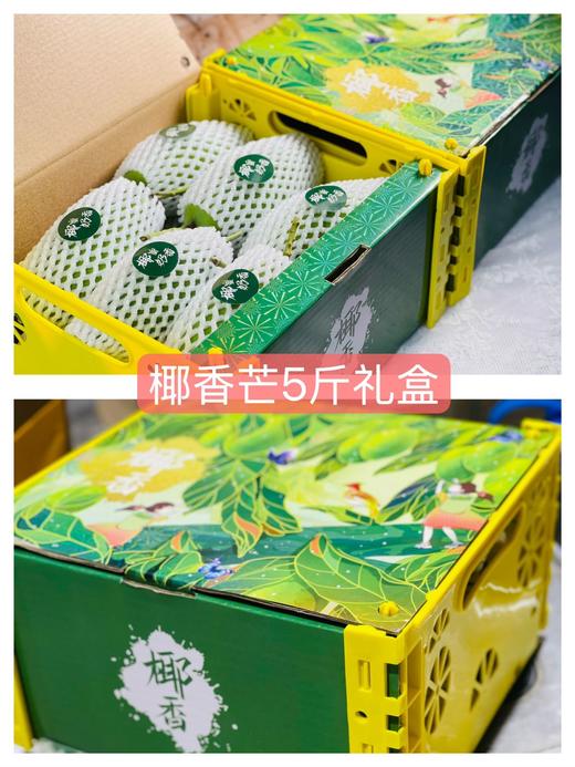 椰奶蜜香————攀枝花椰香芒 商品图6