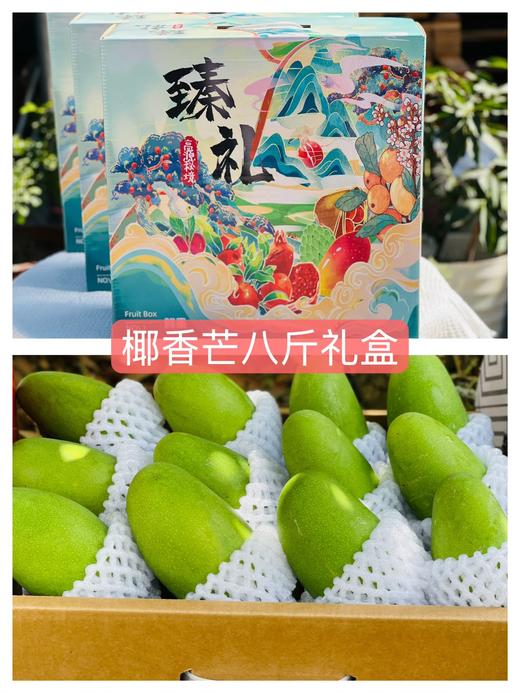 椰奶蜜香————攀枝花椰香芒 商品图7