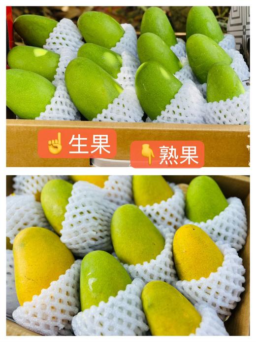 椰奶蜜香————攀枝花椰香芒 商品图12