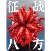 阳澄湖蟹鲜生清水小龙虾 商品缩略图6