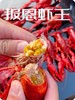 阳澄湖蟹鲜生清水小龙虾 商品缩略图9