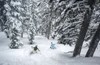 12.10-19加拿大惠斯勒滑雪之旅10天8晚 商品缩略图6