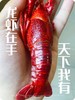阳澄湖蟹鲜生清水小龙虾 商品缩略图2