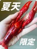 阳澄湖蟹鲜生清水小龙虾 商品缩略图0