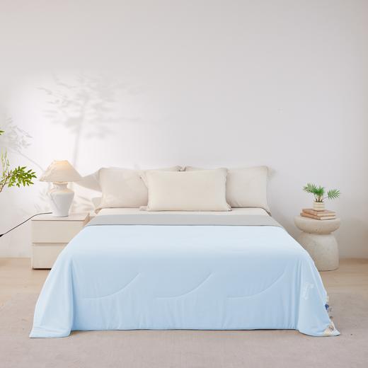 【远梦】凉感深睡夏被 商品图2