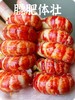 阳澄湖蟹鲜生清水小龙虾 商品缩略图13