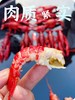 阳澄湖蟹鲜生清水小龙虾 商品缩略图10