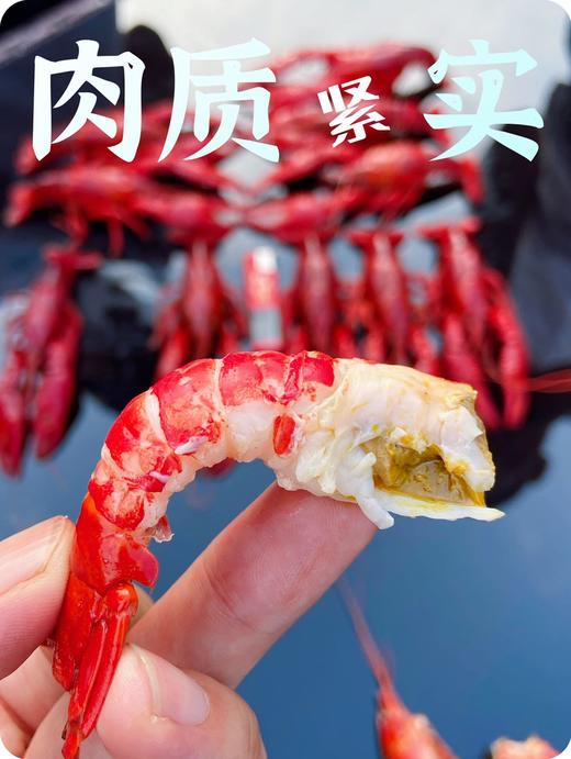 阳澄湖蟹鲜生清水小龙虾 商品图10