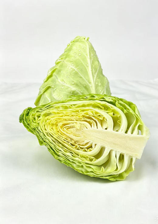 谷小桐掌中宝沙拉小甘蓝 商品图3