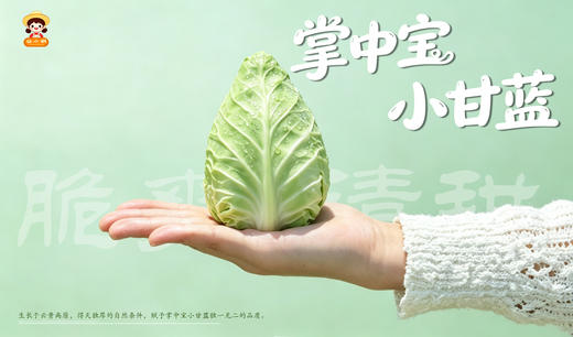 谷小桐掌中宝沙拉小甘蓝 商品图0