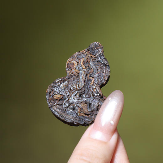立家有机古树茶品鉴装 茶饼葫芦精美 有机生普洱/有机熟普/白茶 便携出游独立包装茶饮 商品图4