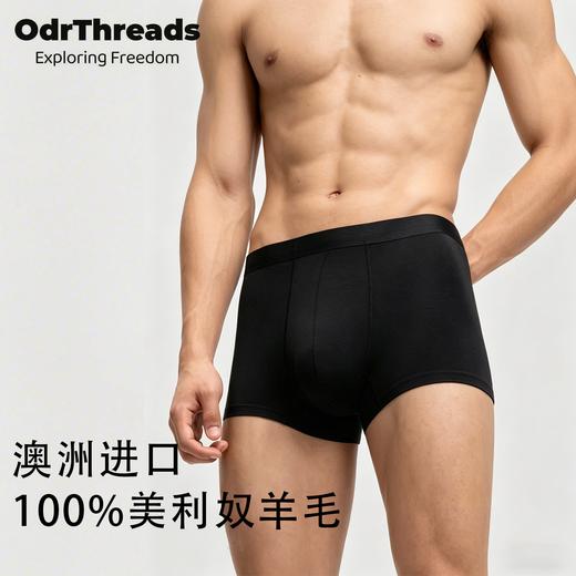 【反季清仓】Odrthreads美利奴羊毛防异味速干柔软男女款内裤SW25084/SW25078 商品图0