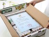 妙 脆· 牛 奶 冬 枣 商品缩略图9