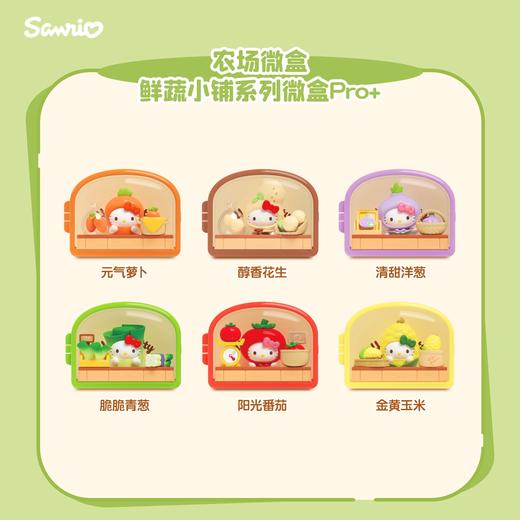 Hello Kitty 凯蒂猫 鲜蔬小铺系列微盒Pro+ 6只/盒 盲盒 商品图0