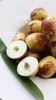 妙 脆· 牛 奶 冬 枣 商品缩略图11
