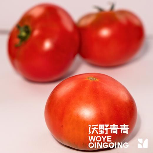 沃野青青露天生态水果西红柿  | 籽粒饱满 ，味道浓郁 商品图4