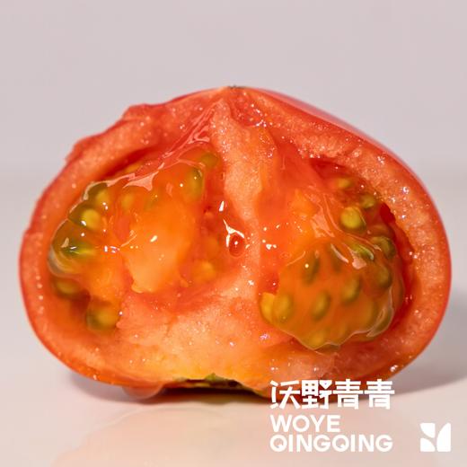 沃野青青露天生态水果西红柿  | 籽粒饱满 ，味道浓郁 商品图3