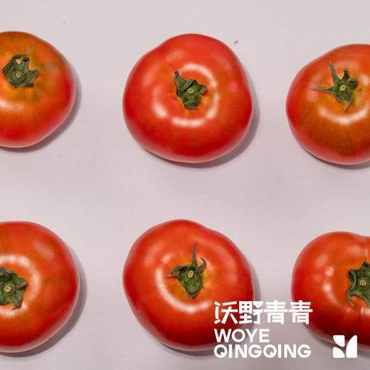 沃野青青露天生态水果西红柿  | 籽粒饱满 ，味道浓郁 商品图5