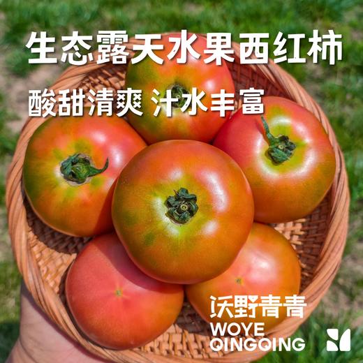 沃野青青露天生态水果西红柿  | 籽粒饱满 ，味道浓郁 商品图1