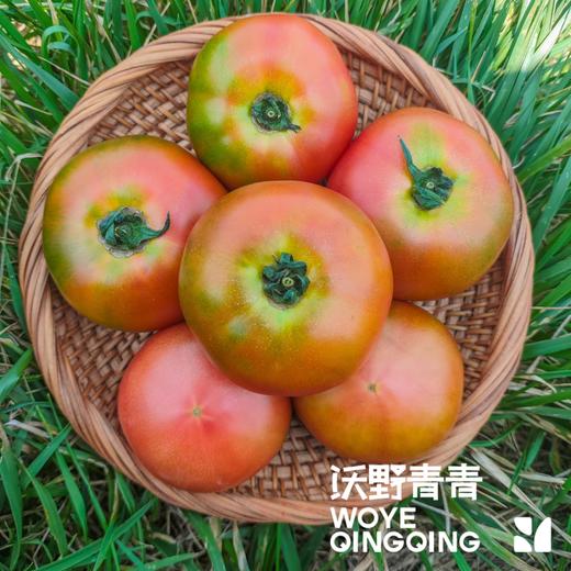 沃野青青露天生态水果西红柿  | 籽粒饱满 ，味道浓郁 商品图2