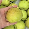 翠冠梨 商品缩略图2