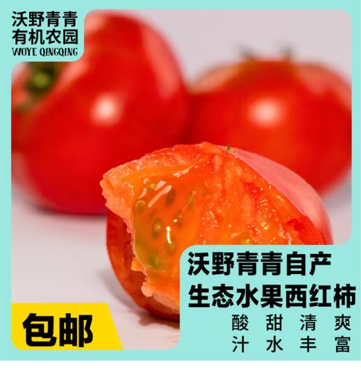 沃野青青露天生态水果西红柿  | 籽粒饱满 ，味道浓郁 商品图0