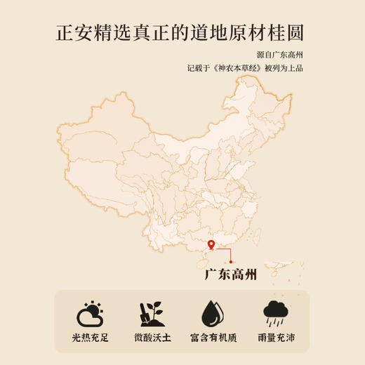 正安 广东高州桂圆 颗颗饱满灯笼肉 低温烘干甘润清甜 清心除烦增加活力 优质原材 250g/罐 商品图4