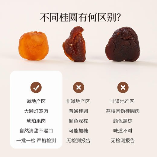 正安 广东高州桂圆 颗颗饱满灯笼肉 低温烘干甘润清甜 清心除烦增加活力 优质原材 250g/罐 商品图5