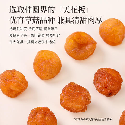 正安 广东高州桂圆 颗颗饱满灯笼肉 低温烘干甘润清甜 清心除烦增加活力 优质原材 250g/罐 商品图2