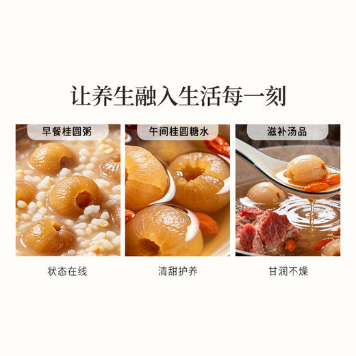 正安 广东高州桂圆 颗颗饱满灯笼肉 低温烘干甘润清甜 清心除烦增加活力 优质原材 250g/罐 商品图12